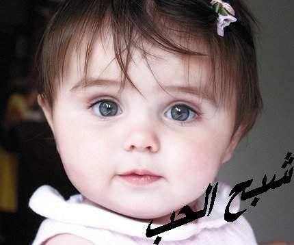 sarir 3la  lhob